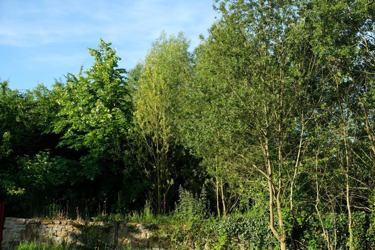 La Maison Jaune à la Janaie Parigné Exterior foto